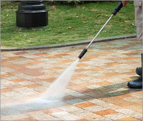 Gardening & Cleaning Services in Coimbatore