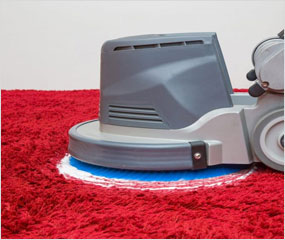 Sofa and Carpet Cleaning Services in Coimbatore